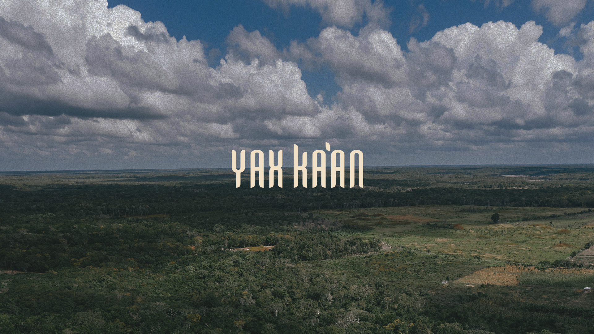 YAXKAAN_Look_And_Feel_01