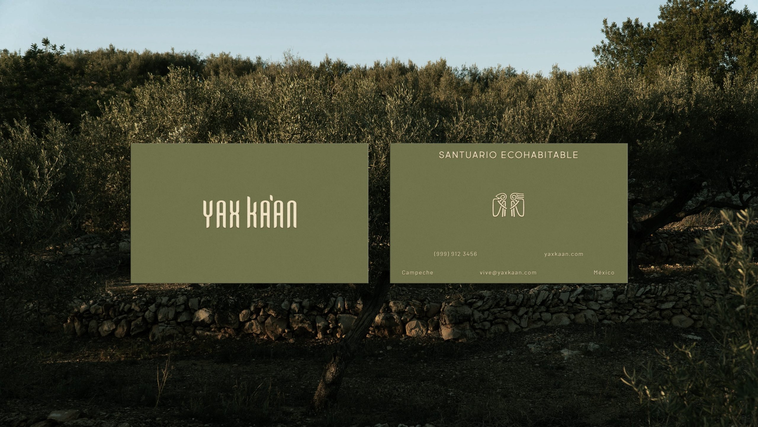 YAXKAAN_Look_And_Feel_15